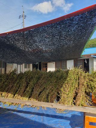 옥천서화농님의 자유주제 · 자유게시판 작성글 사진