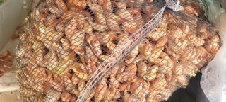 딸랑구와땡보님의 작성글 사진