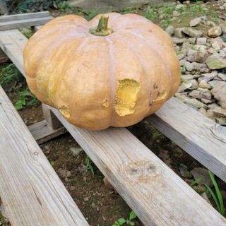 이창화님의 자유주제 · 자유게시판 작성글 사진