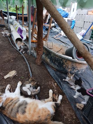 혁이네농원님의 자유주제 · 자유게시판 작성글 사진