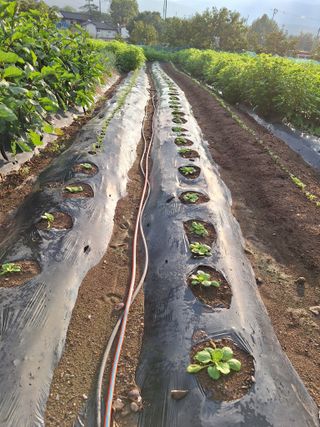 박종열님의 자유주제 · 사진전 작성글 사진