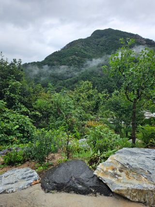 조영민님의 자유주제 · 자유게시판 작성글 사진