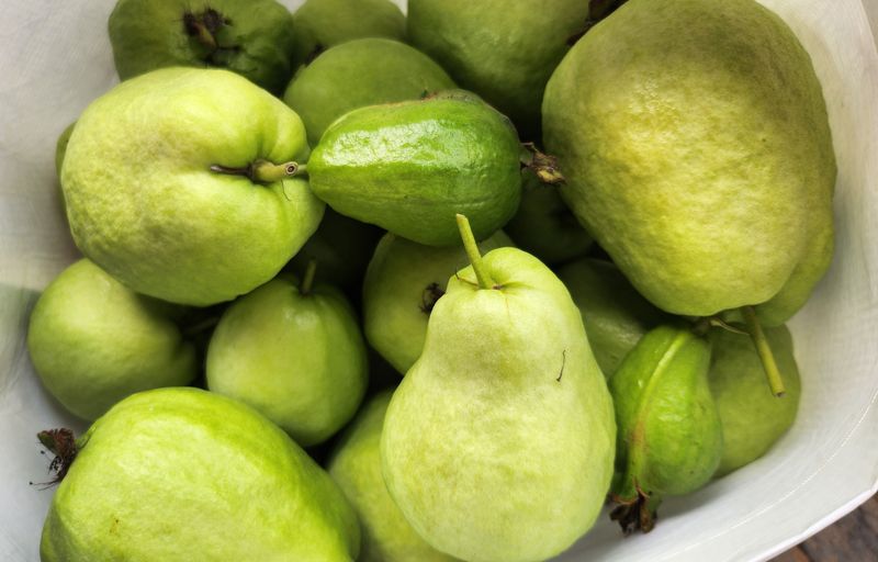 장터 상품 [전남 여수 구아바 1kg 5과 생과] 썸네일