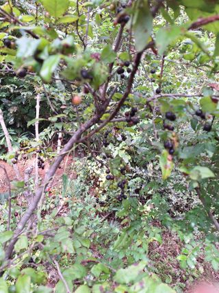 박종열님의 자유주제 · 사진전 작성글 사진