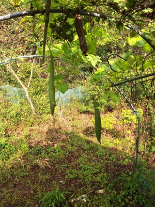 박종열님의 자유주제 · 사진전 작성글 사진