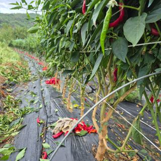 박흠님의 자유주제 · 사진전 작성글 사진
