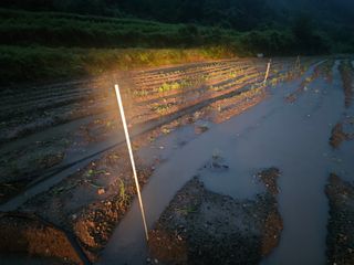 백용기님의 자유주제 · 자유게시판 작성글 사진