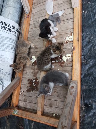 혁이네농원님의 자유주제 · 자유게시판 작성글 사진