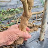 팜모닝 자유주제·사진전 게시글 이미지