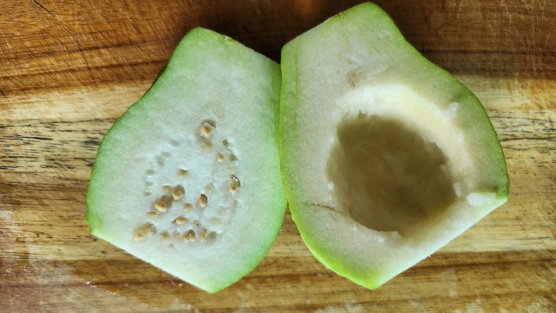 정미리님의 장터 판매 상품 [전남 여수 구아바 1kg 5과 생과] 첨부 사진