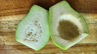 정미리님의 작성글 사진