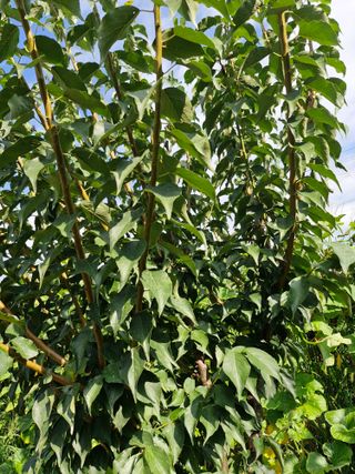 종이박님의 자유주제 · 자유게시판 작성글 사진