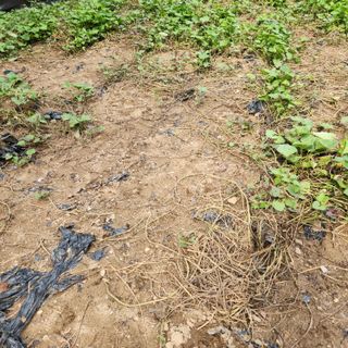 오봉세님의 자유주제 · 사진전 작성글 사진