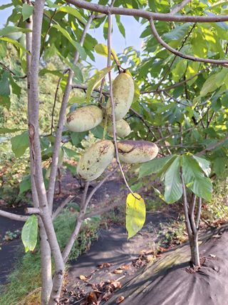 박종열님의 자유주제 · 사진전 작성글 사진