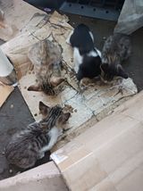 팜모닝 자유주제·자유게시판 게시글 이미지