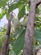 팜모닝 자유주제·사진전 게시글 이미지