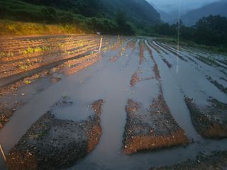 백용기님의 자유주제 · 자유게시판 작성글 사진