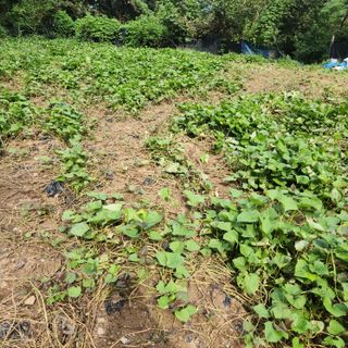 오봉세님의 자유주제 · 사진전 작성글 사진