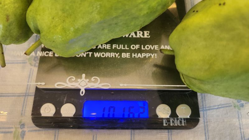 정미리님의 장터 판매 상품 [전남 여수 구아바 1kg 5과 생과] 첨부 사진