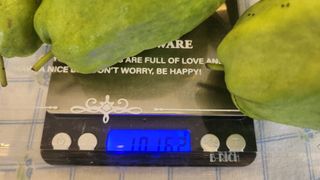 정미리님의 작성글 사진