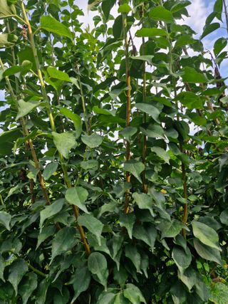 종이박님의 자유주제 · 자유게시판 작성글 사진