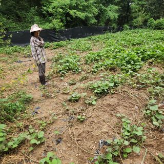 오봉세님의 자유주제 · 사진전 작성글 사진