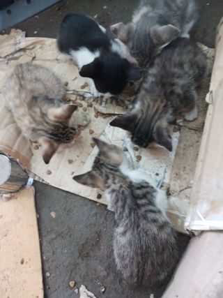 혁이네농원님의 자유주제 · 자유게시판 작성글 사진