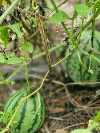 당근한개님의 자유주제 · 자유게시판 작성글 사진