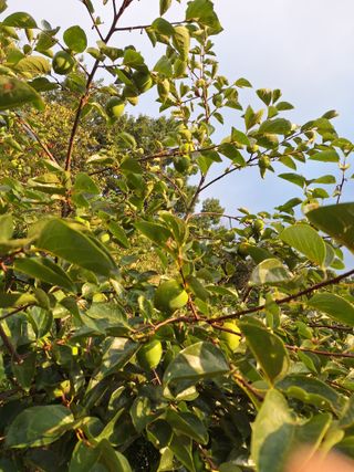 박종열님의 자유주제 · 사진전 작성글 사진