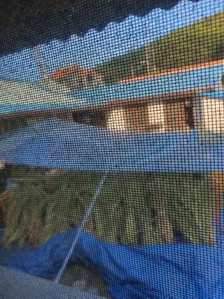 옥천서화농님의 자유주제 · 자유게시판 작성글 사진