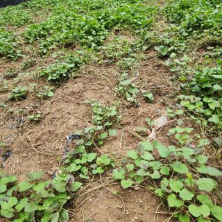 오봉세님의 자유주제 · 사진전 작성글 사진