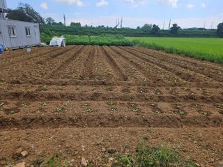 김기만님의 자유주제 · 자유게시판 작성글 사진