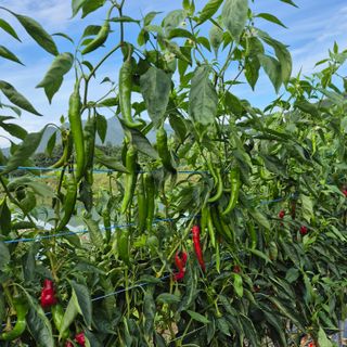 박흠님의 자유주제 · 사진전 작성글 사진