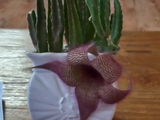 우종만님의 자유주제 · 자유게시판 작성글 사진