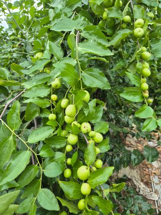 가인 5362님의 자유주제 · 자유게시판 작성글 사진