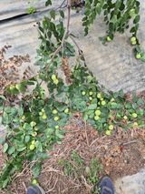 팜모닝 자유주제·자유게시판 게시글 이미지