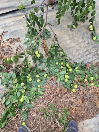 가인 5362님의 자유주제 · 자유게시판 작성글 사진