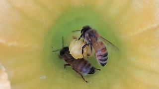 이정운님의 자유주제 · 자유게시판 작성글 사진