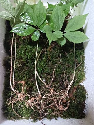 자유인 10496님의 자유주제 · 사진전 작성글 사진