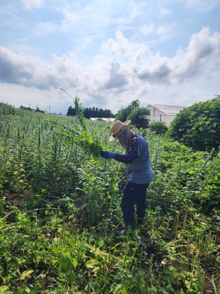 제주부자팜님의 자유주제 · 자유게시판 작성글 사진