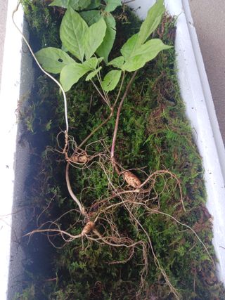 자유인 10496님의 자유주제 · 사진전 작성글 사진