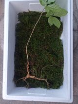 팜모닝 자유주제·사진전 게시글 이미지