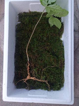 자유인 10496님의 자유주제 · 사진전 작성글 사진