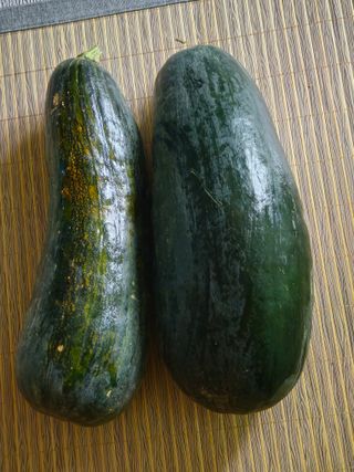 이무기님의 자유주제 · 자유게시판 작성글 사진