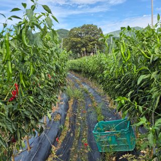 박흠님의 자유주제 · 사진전 작성글 사진