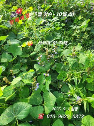 김주용님의 자유주제 · 자유게시판 작성글 사진