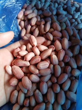 SARIFUDIN YASINTA MARYAMA님의 자유주제 · 자유게시판 작성글 사진