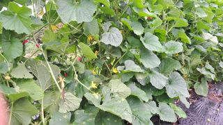 이정운님의 자유주제 · 자유게시판 작성글 사진