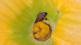 이정운님의 자유주제 · 자유게시판 작성글 사진