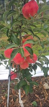 팜모닝 자유주제·자유게시판 게시글 이미지